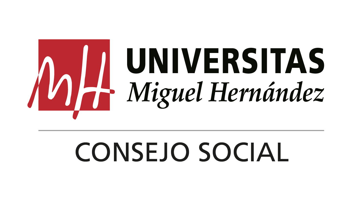 Consejo Social UMH